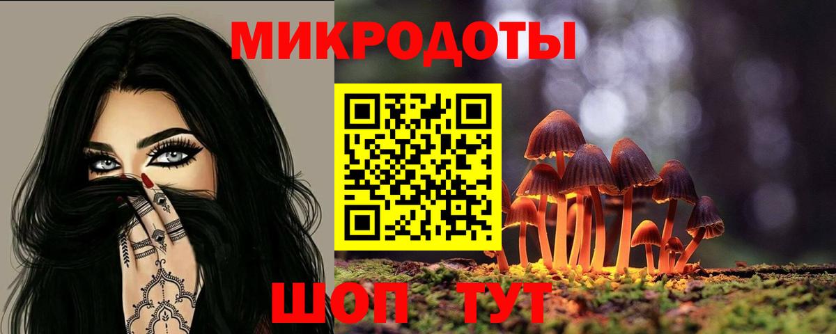 Курчалой  Галлюциногенные грибы мухоморы  Вход с VPN 