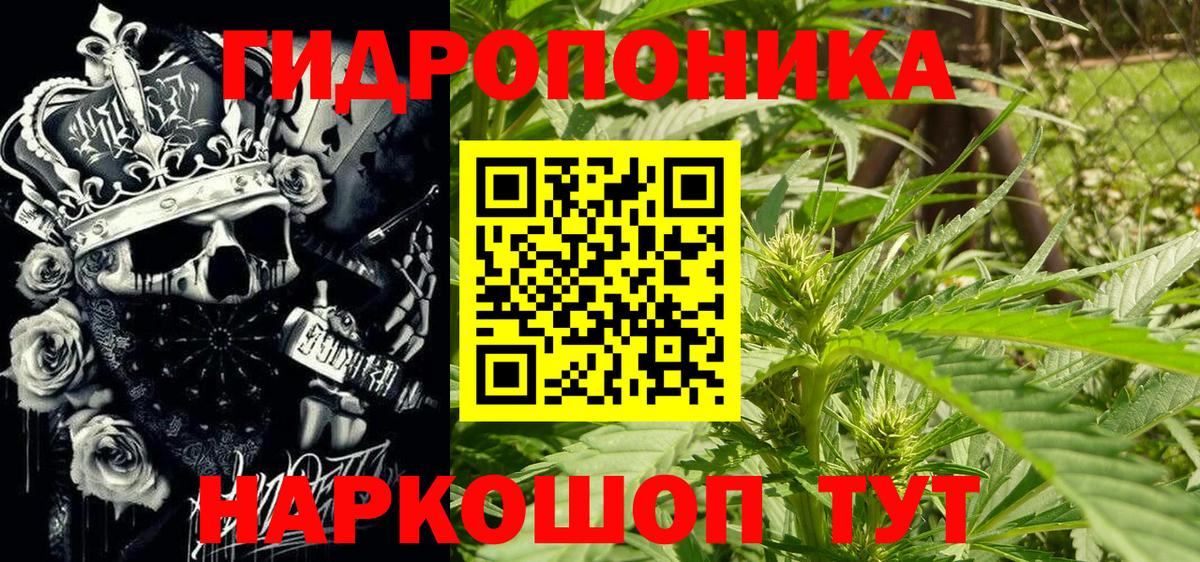 Марихуана семена  Шишки марихуана ГИДРОПОН  Бошки Шишки конопля  Курчалой  Вход с VPN 